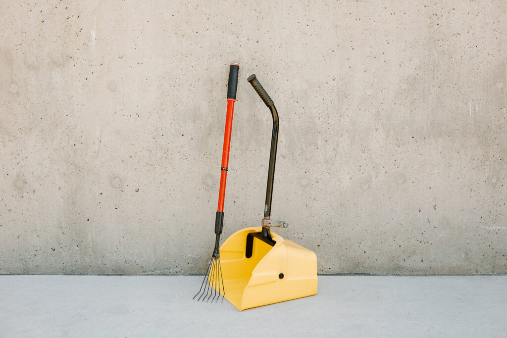 Pooper scooper business equipment including a rake and a lobby dustpan